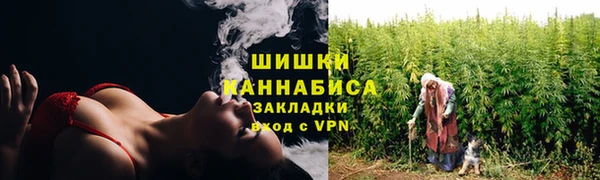 Альфа ПВП Гусев