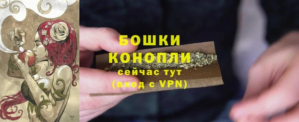 мяу мяу мука Гусиноозёрск