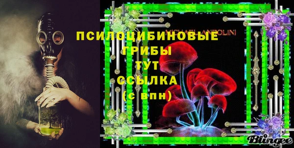 Альфа ПВП Гусев