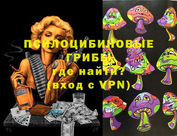 Альфа ПВП Гусев