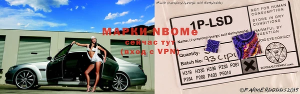 гидра Тайга