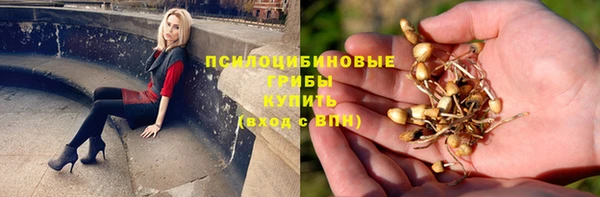 ешки Гусь-Хрустальный
