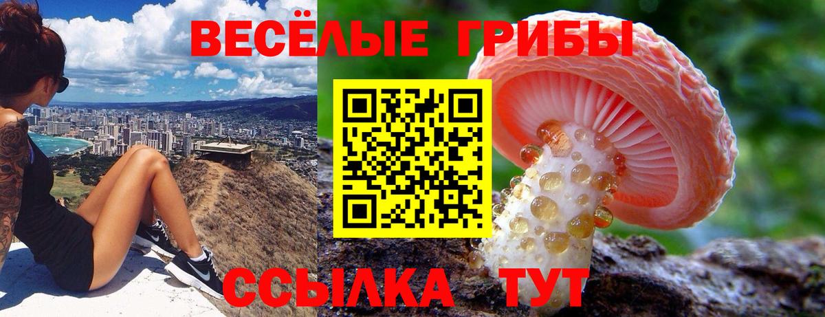 Псилоцибиновые грибы прущие грибы Пермь